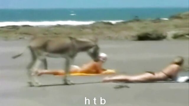 Maiglöckchen werfen Sie Ihren Hut es in das reife frauen hd porn Huhn und Minze